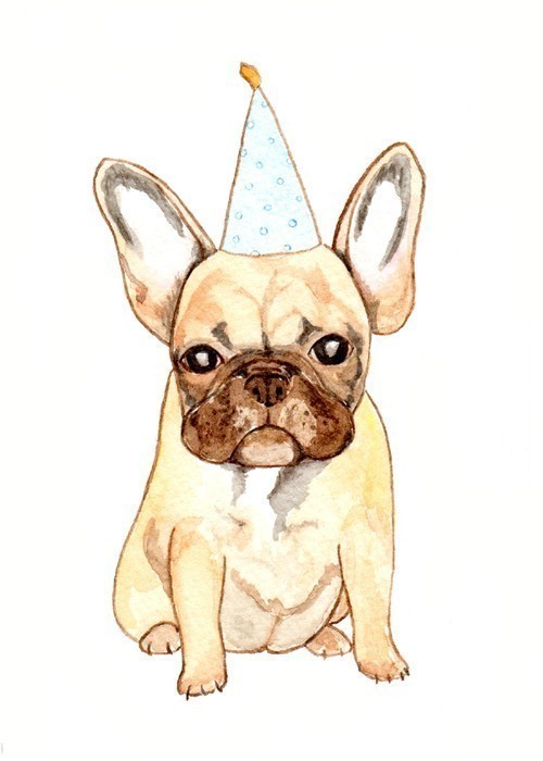 Bulldog Puppy Drawing