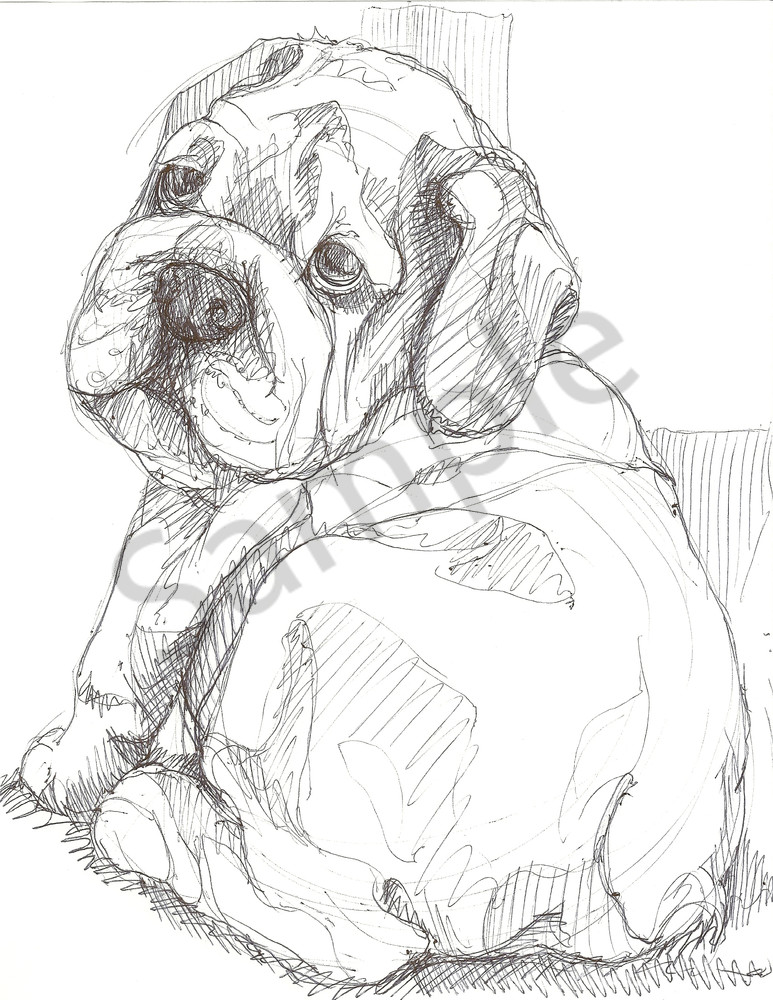 773x1000 Bulldog Portrait, Pet Drawing - Bulldog Puppy Drawing