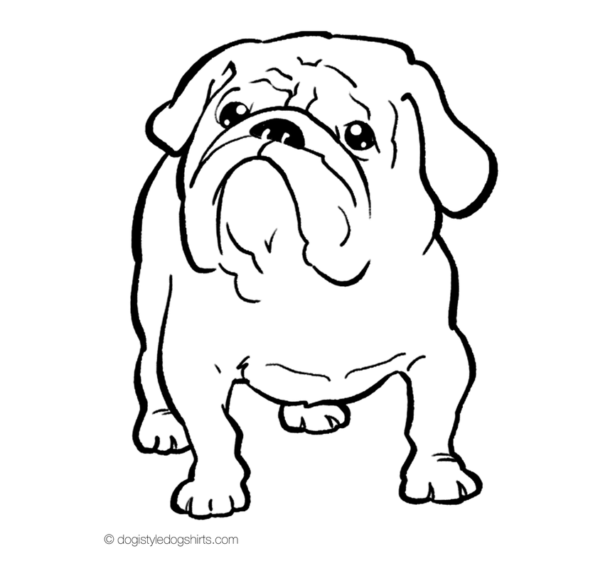865x800 english drawing english bulldog puppy for free download - Bulldog Puppy Drawing