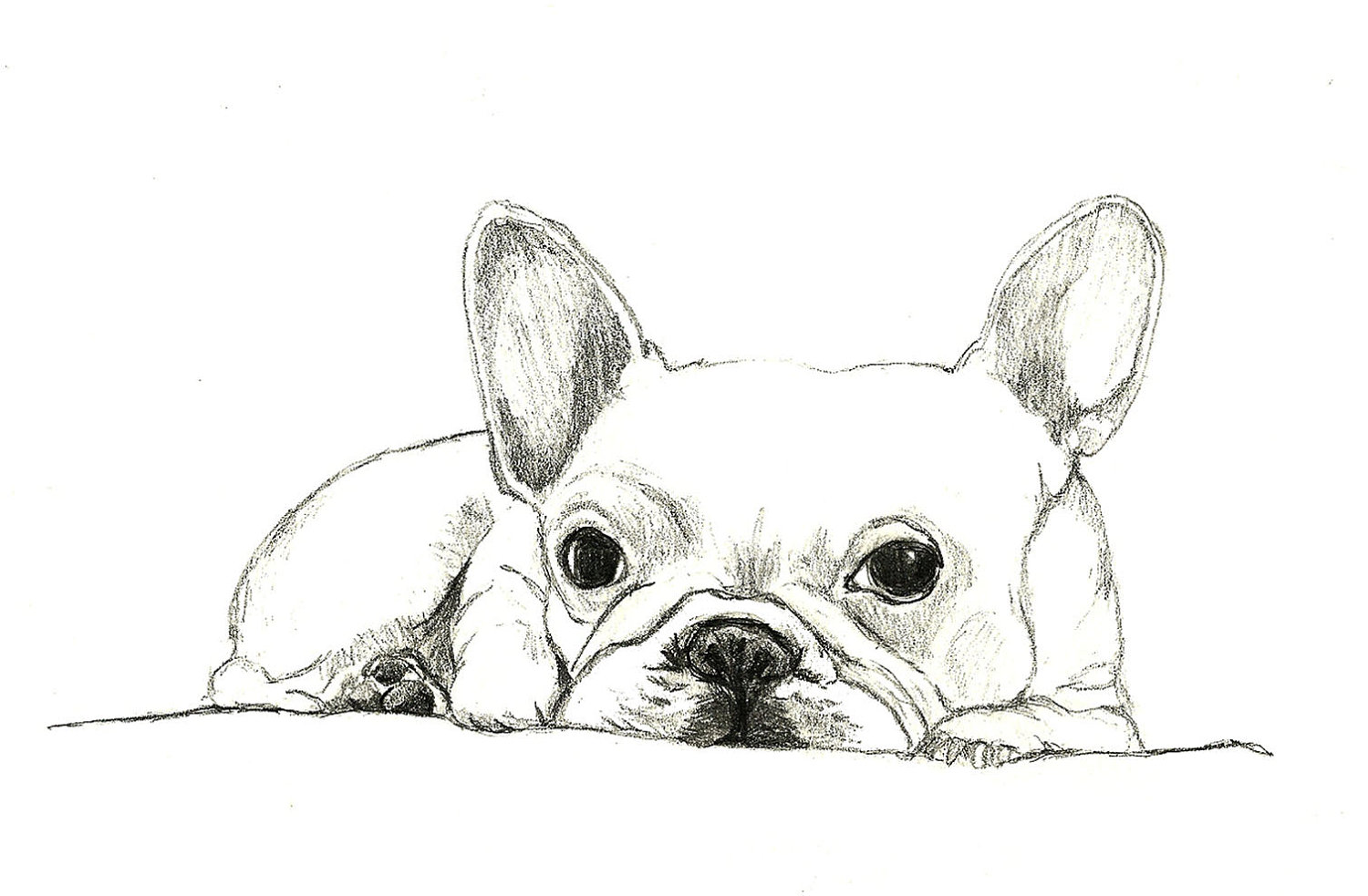 1500x983 french bulldog art little french bulldog dog artdog etsy - Bulldog Puppy Drawing