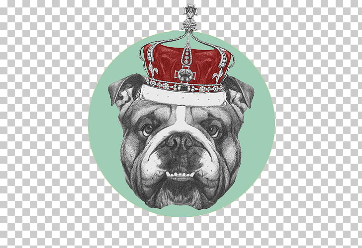 728x500 french bulldog puppy drawing, puppy png clipart free cliparts - Bulldog Puppy Drawing