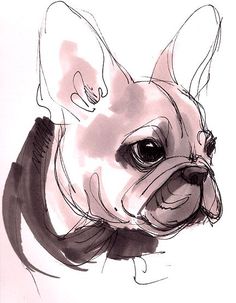 236x303 Best Bulldog Drawing Images In Drawings, English - Bulldog Puppy Drawing