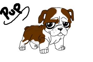 300x200 Huge Collection Of 'cute Bulldog Drawing' Download More Than - Bulldog Puppy Drawing