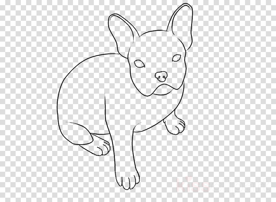 900x660 Puppy, Bulldog, Drawing, Transparent Png Image Clipart Free Download - Bulldog Puppy Drawing