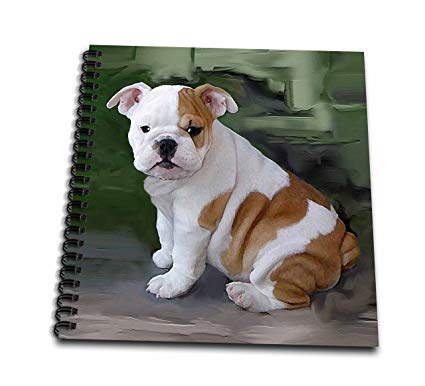 425x386 Db British Bulldog Puppy Drawing Book - Bulldog Puppy Drawing