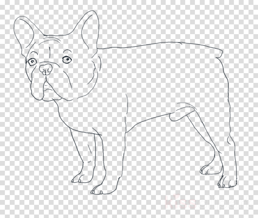 900x760 Bulldog, Puppy, Drawing, Transparent Png Image Clipart Free Download - Bulldog Puppy Drawing