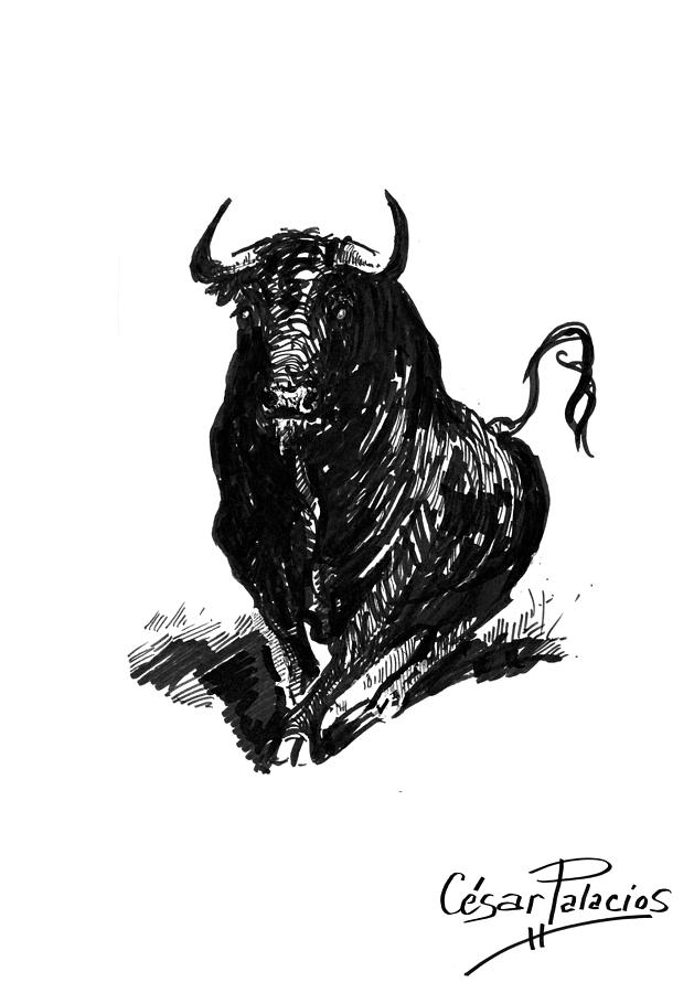 629x900 bullfighting toro bravo iii drawing - Bullfighting Drawing