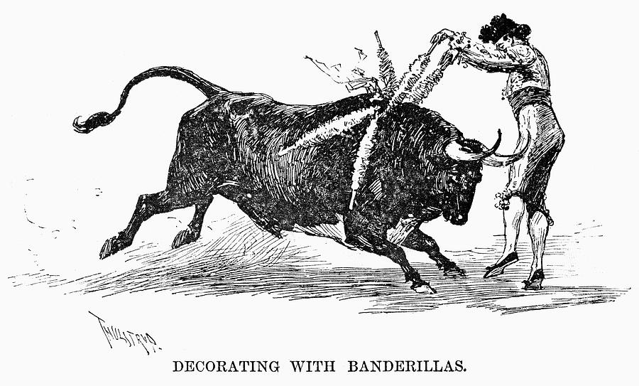 900x543 spain bullfighting, drawing - Bullfighting Drawing