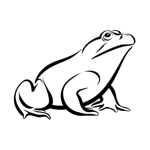 576x576 Bullfrog Drawing - Bullfrog Drawing