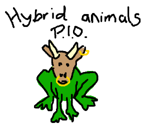 300x250 hybrid animals pio - Bullfrog Drawing