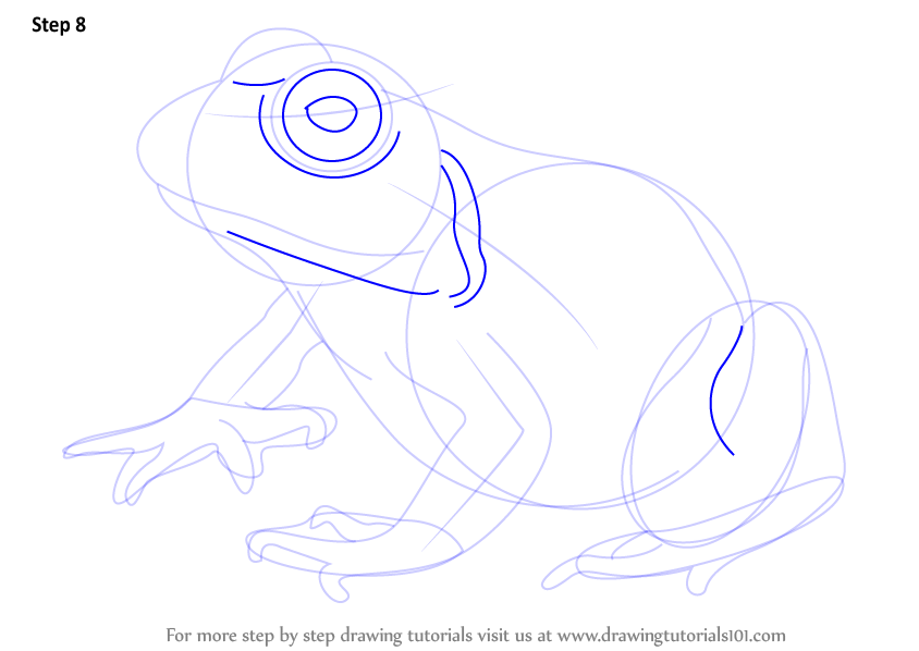 844x598 Learn How To Draw An American Bullfrog - Bullfrog Drawing