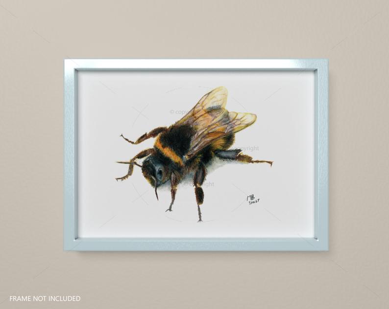 794x632 bumble bee art print bee drawing illustration artwork etsy - Bumble Bee Drawing