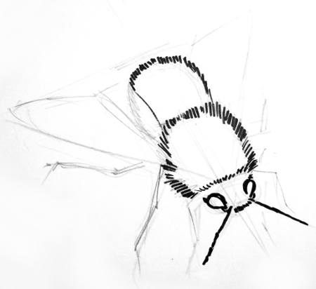 450x412 How To Draw Bumblebee - Bumble Bee Drawing