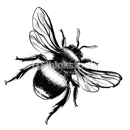 414x415 ink drawing of a bumble bee drawing idea - Bumble Bee Drawing