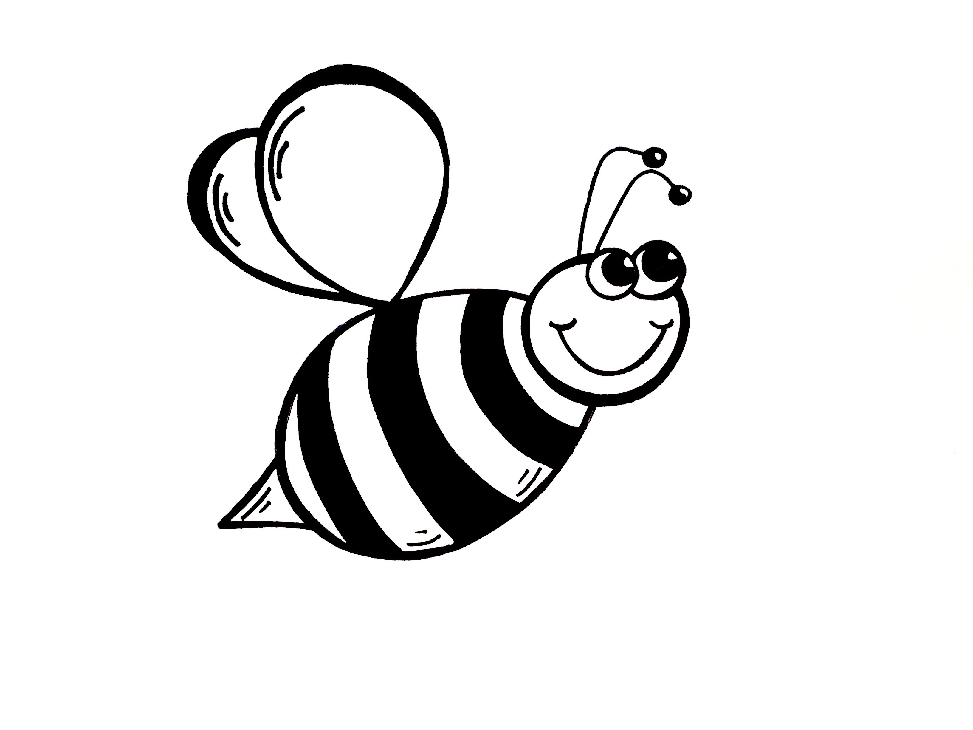3264x2448 bumble bee drawing cartoon drawing lesson how to draw a bumble be...