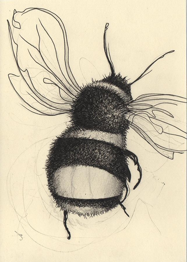 642x900 dance, bumble bee, dance drawing - Bumble Bee Drawing Pictures