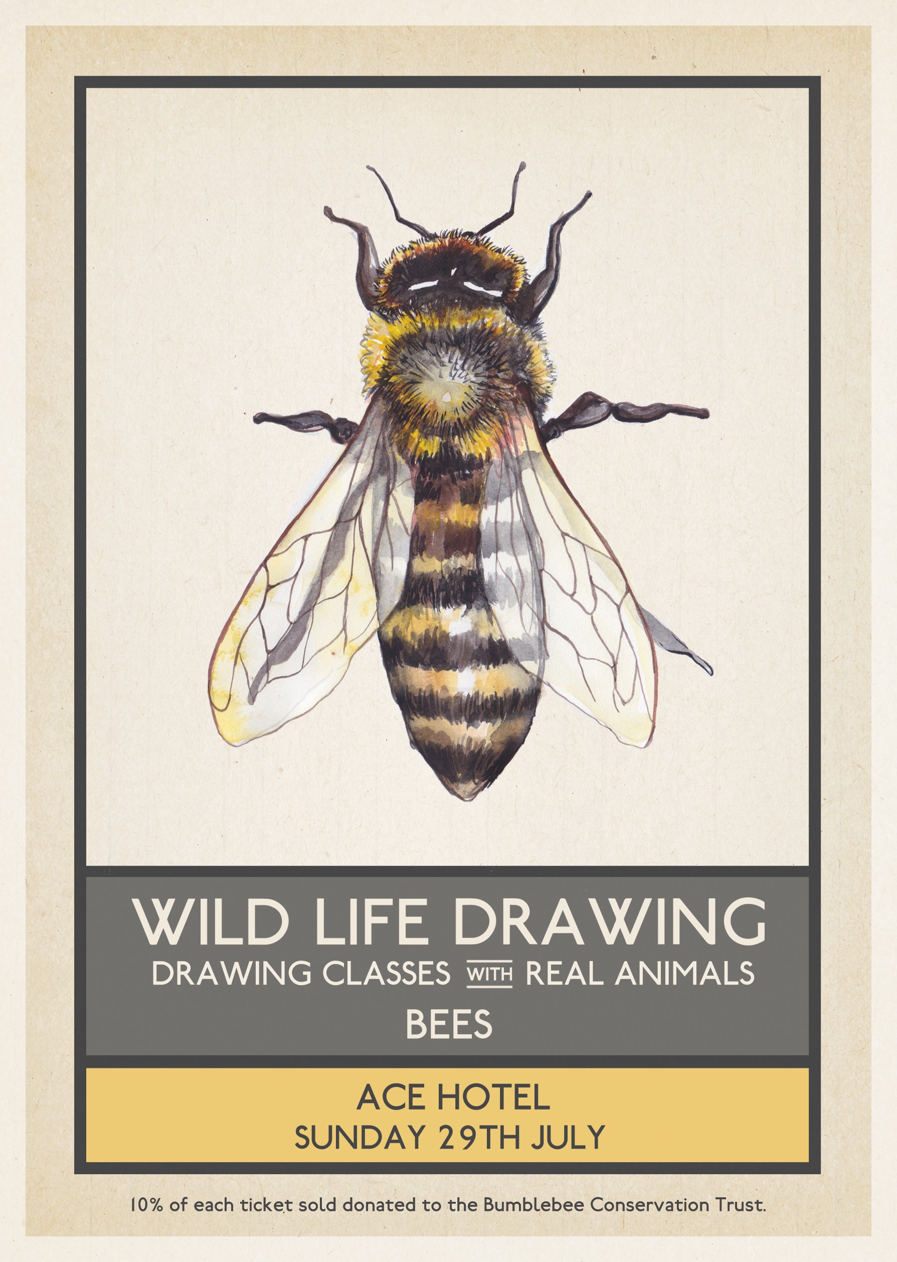 1789x2516 wild life drawing bees - Bumble Bee Drawing Pictures