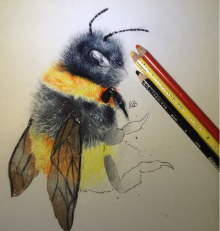 320x335 bumblebee drawings on paigeeworld pictures of bumblebee - Bumble Bee Drawing Pictures