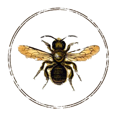 400x400 collection of free scientific drawing honey bee download on ui ex - Bumble Bee Scientific Drawing