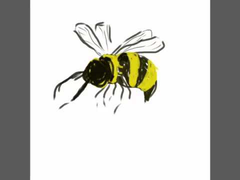 480x360 drawn bumblebee drawing - Bumblebee Drawing
