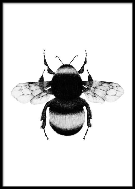 536x750 bumblebee drawing poster - Bumblebee Drawing