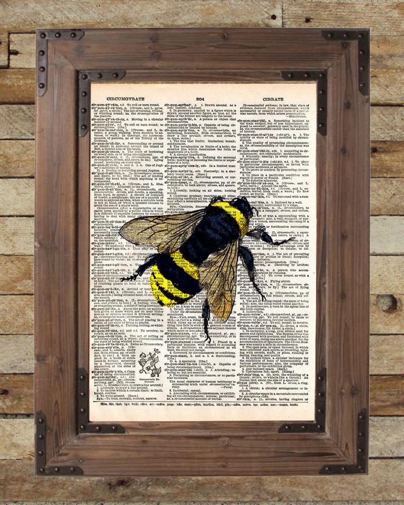 800x1000 Bumblebee Insect Drawing, Bee Art Print, Dictionary - Bumblebee Insect Drawing