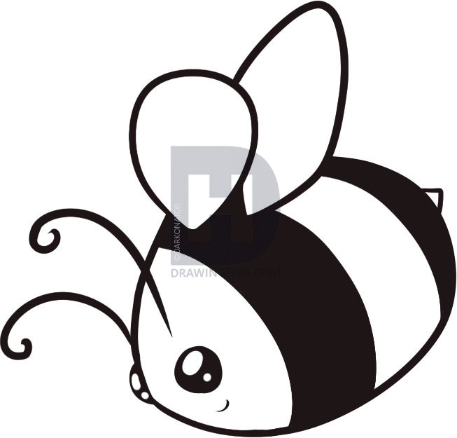 653x625 How To Draw A Bumblebee, Step - Bumblebee Insect Drawing