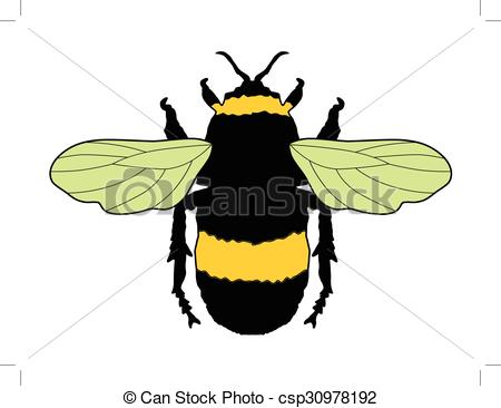 450x366 Vector Illustration Of Bumblebee, Insect - Bumblebee Insect Drawing