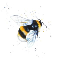 236x236 Bumble Bee Drawing - Bumblebee Insect Drawing