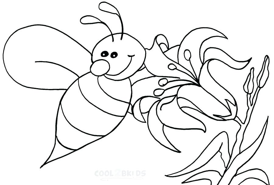 900x607 bumble bee outline download coloring pages draw a bee bumblebee - Bumblebee Line Drawing