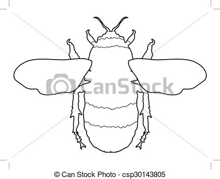 450x366 outline of a bumble bee bumblebee line drawing at getdrawings free - Bumblebee Line Drawing