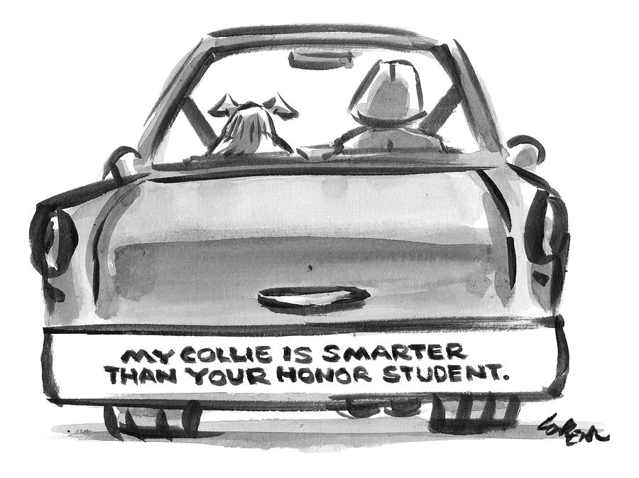 900x673 a bumper sticker on the back of someone's car drawing - Bumper Drawing