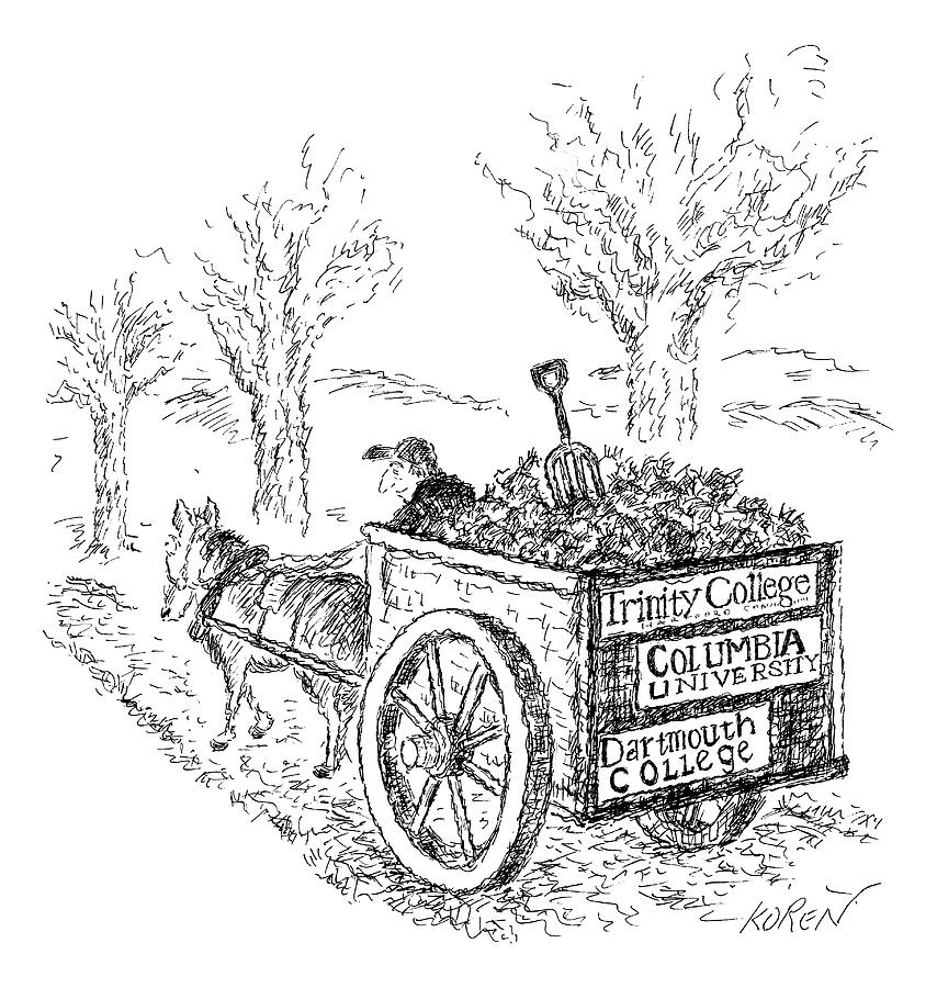 854x900 a man drives a horse drawn cart with bumper drawing - Bumper Drawing