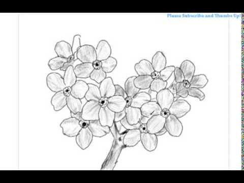 480x360 How To Draw A Bunch Of Flowers - Bunch Of Flowers Drawing