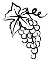 167x200 bunch of grapes simple drawing with leaf swirly vine stock vectors - Bunch Of Grapes Drawing