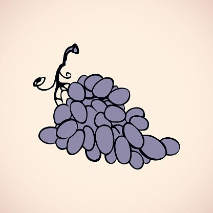 416x416 Bunch Of Vector Drawing Premium Clipart - Bunch Of Grapes Drawing