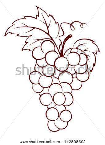 341x470 Bunch Of Grapes - Bunch Of Grapes Drawing