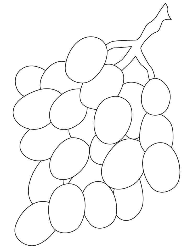 738x954 Drawing Grapes Coloring Pages - Bunch Of Grapes Drawing
