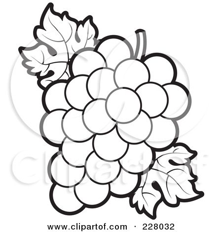450x470 Grapes Bunch Grape Transparent Png Clipart Free Download - Bunch Of Grapes Drawing