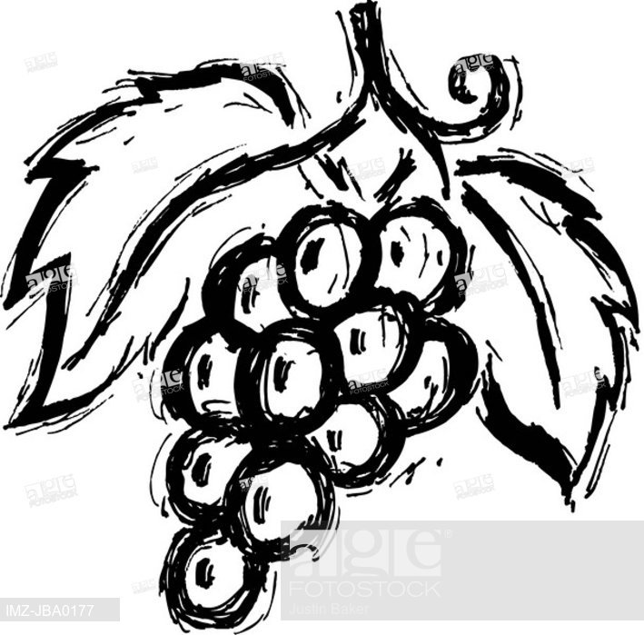 709x699 A Black And White Drawing Of A Bunch Of Grapes, Stock Photo - Bunch Of Grapes Drawing