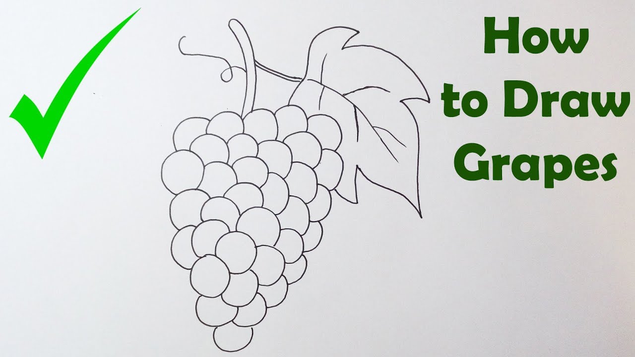 1280x720 How To Draw Grapes - Bunch Of Grapes Drawing
