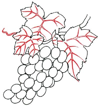 400x420 How To Draw Grapes In Steps How To Draw Drawings, Grape - Bunch Of Grapes Drawing