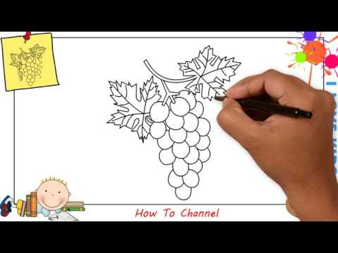480x360 How To Draw A Bunch Of Grapes Easy Step - Bunch Of Grapes Drawing
