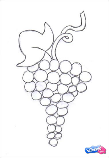 380x551 How To Draw Grape - Bunch Of Grapes Drawing