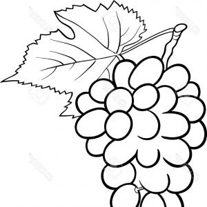 300x300 Photoblack And White Cartoon Illustration Of Bunch Of Grapes - Bunch Of Grapes Drawing