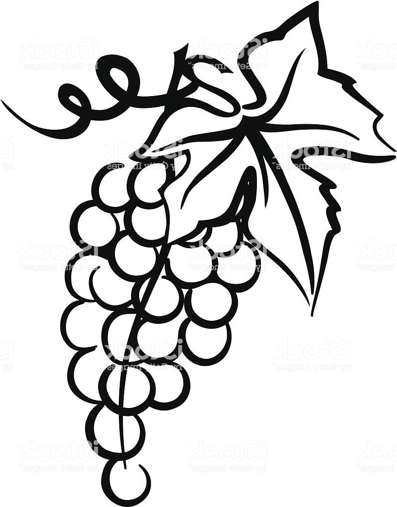 802x1024 bunch of grapes simple drawing with leaf swirly vine vector - Bunch Of Grapes Drawing