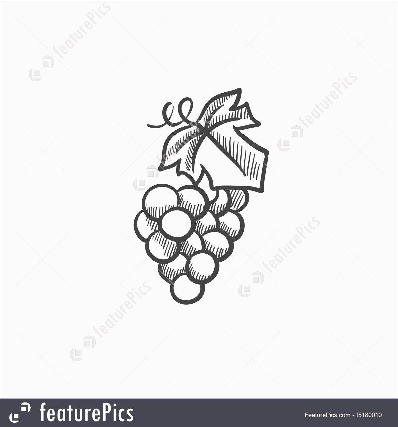 1300x1392 Bunch Of Grapes Sketch Icon Illustration - Bunch Of Grapes Drawing