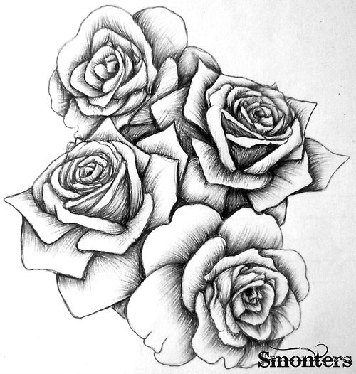 Bunch Of Roses Drawing at Explore collection of