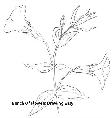 373x392 Easy Drawing Of A Rose Troller Us - Bunch Of Roses Drawing