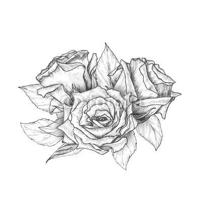 400x400 hand drawn roses with leaves bouquet, vintage etching sketch - Bunch Of Roses Drawing
